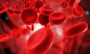 Показатели анализа крови при лейкемии у детей thumbnail